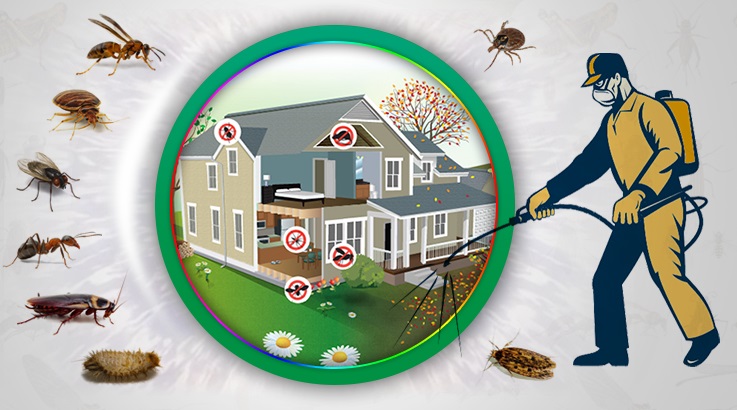 Sancaktepe Böcek İlaçlama